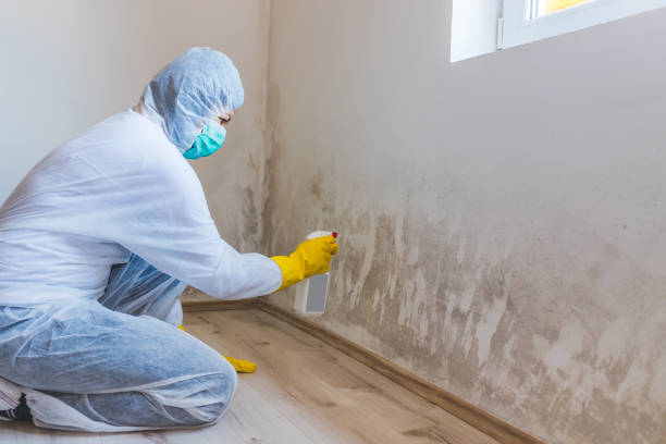 Licensed Bathroom Mold Removal service in York, PA - WQB Mold Removal