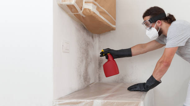 Professional Bathroom Mold Removal technician working in York, PA