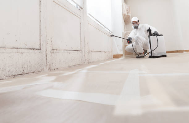 24/7 Emergency Bathroom Mold Removal experts in York, PA