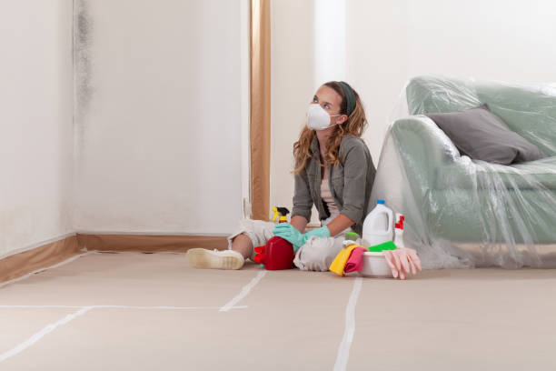 Reliable Bathroom Mold Removal contractor in York, PA by WQB Mold Removal