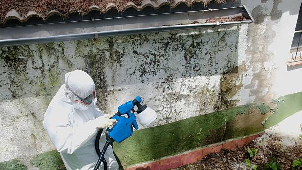 Top rated local Bathroom Mold Removal specialists in York, PA